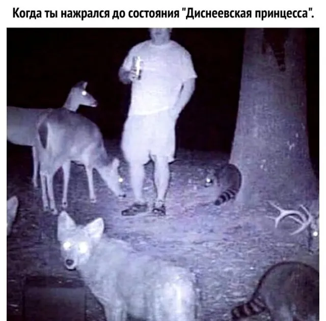 Так себе картинки Так себе картинки
