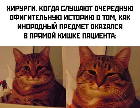 Картинки и мемы Картинки и мемы
