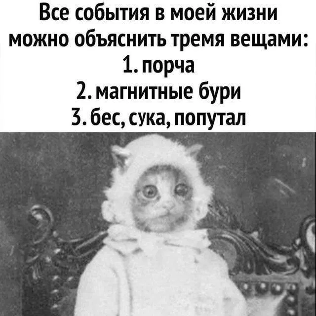 Картинки и мемы Картинки и мемы