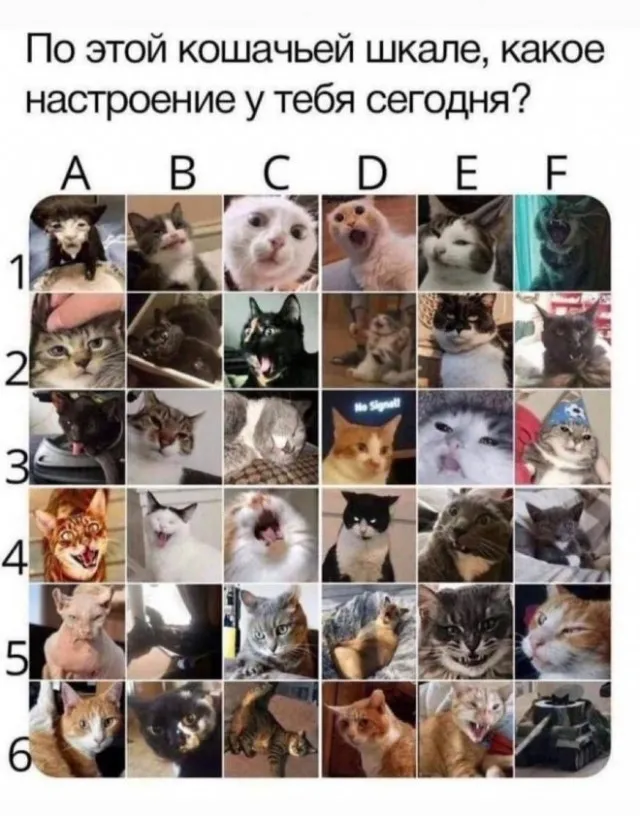 Картинки и мемы Картинки и мемы