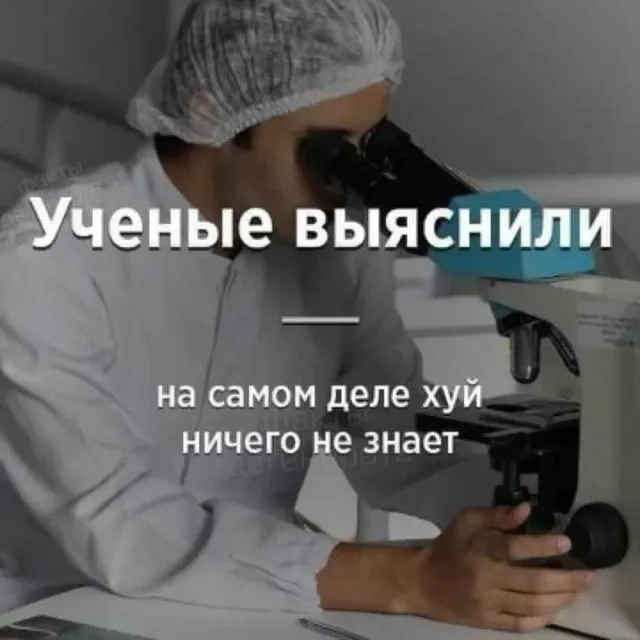 Чернь