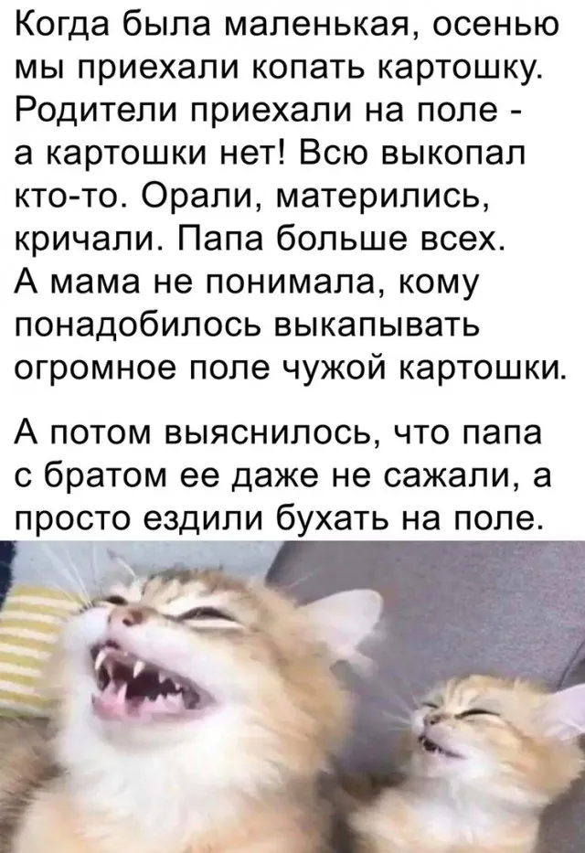Так себе картинки Так себе картинки