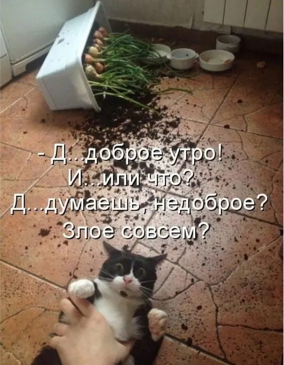 Так себе картинки Так себе картинки