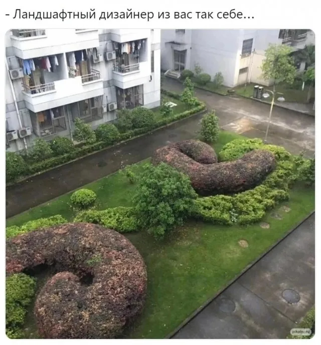 Так себе картинки Так себе картинки
