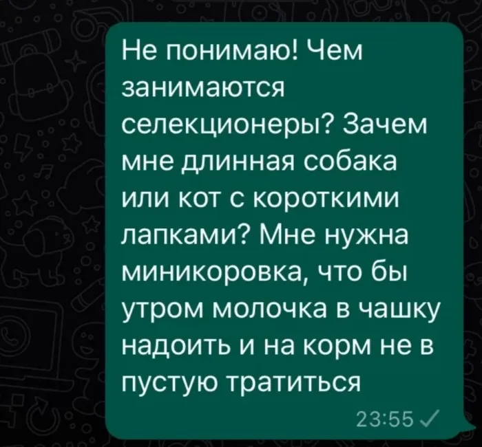 Селёдка над шубой и другие неожиданные кулинарные шедевры Селёдка над шубой и другие неожиданные кулинарные шедевры