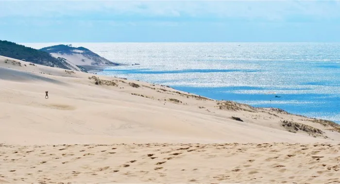Дюна дю Пила: откуда во Франции с её морским климатом взялась пустыня? Рассказываю о чудесах природы