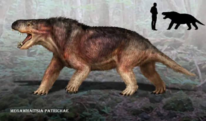 Мегавайтсия: Высший хищник эпохи до динозавров. Это не рептилия и не млекопитающее. Жил в России и мог быть ядовит