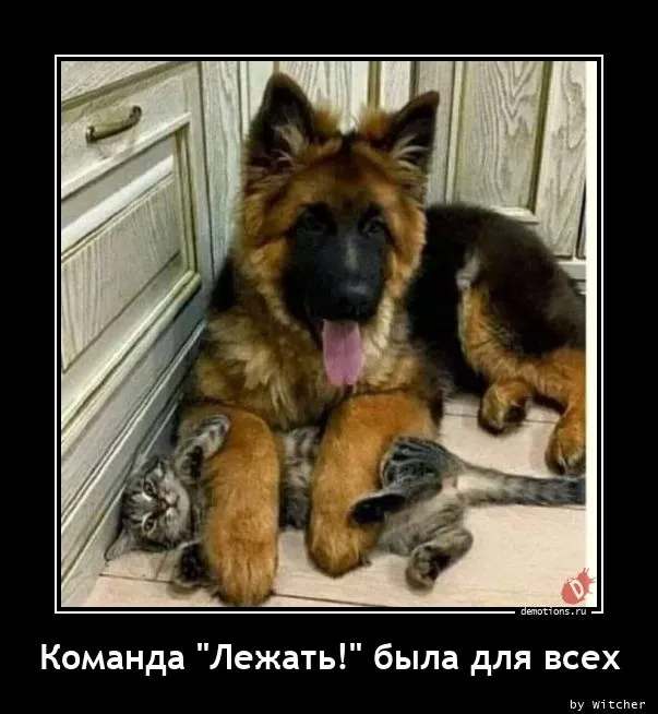 Демотиваторы Демотиваторы