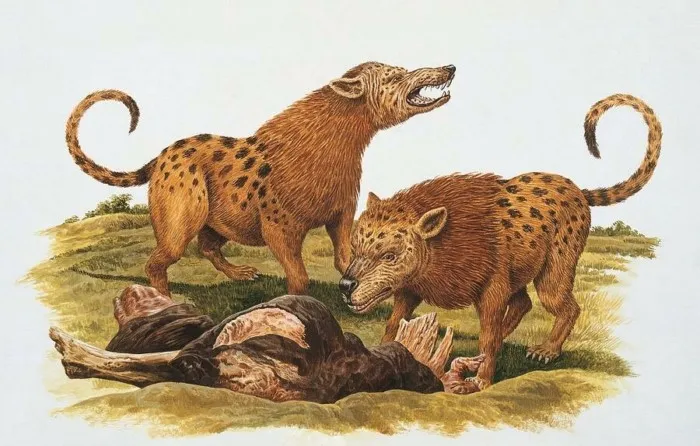 Мезонихиды: Копытные «волки» и «медведи». Они были элитой хищного мира на заре эры млекопитающих