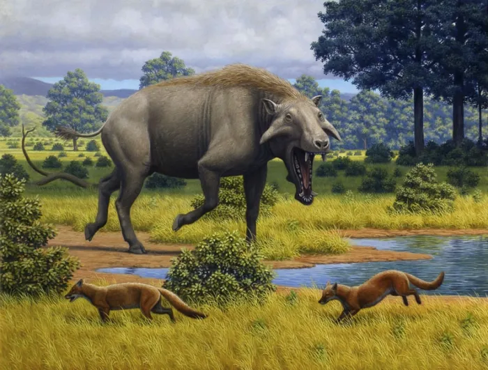 Энтелодонт: Настоящий свинозавр! Плотоядный «кабан» весом 750 кг захватил полмира и держал в страхе даже крупных хищников