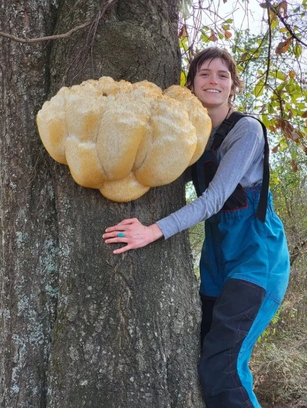 Грибной рай: люди отправилась в лес по грибы, а нашли настоящий клад