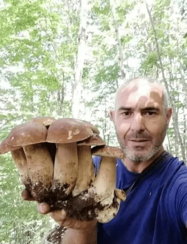 Грибной рай: люди отправилась в лес по грибы, а нашли настоящий клад