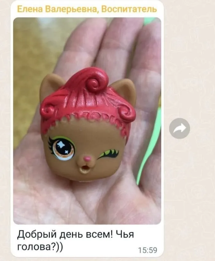 Слабоумие и отвага родительских чатов Слабоумие и отвага родительских чатов