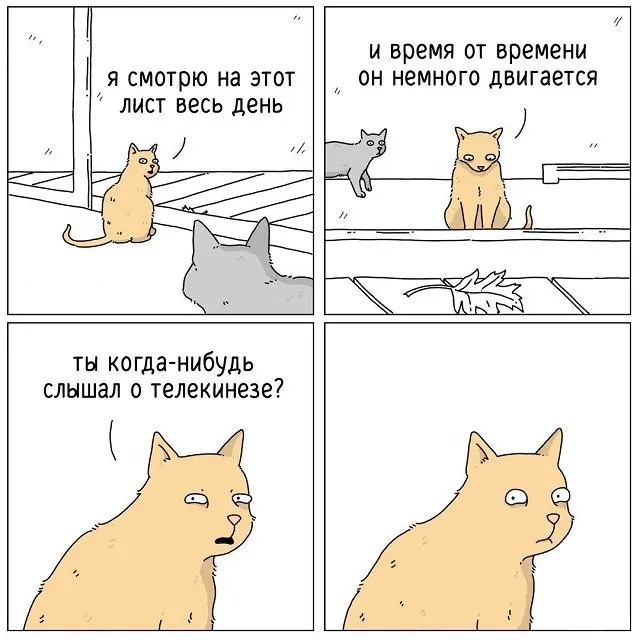 "Если бы они могли говорить": забавные комиксы о животных "Если бы они могли говорить": забавные комиксы о животных