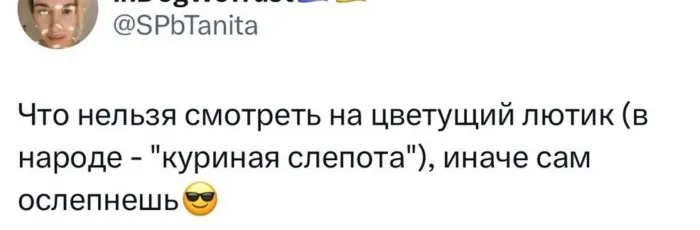 Мифы и байки, в которые мы верили в детстве Мифы и байки, в которые мы верили в детстве