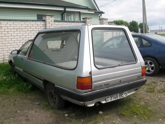Автовсячина