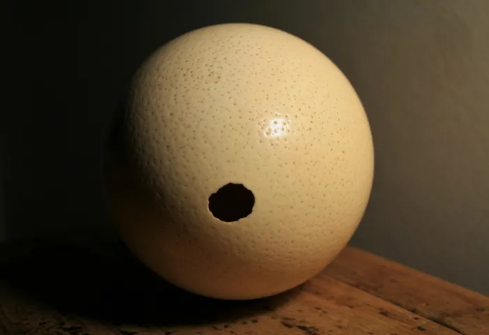 Как дышит птенец внутри яйца? Ведь яичко кажется абсолютно замкнутой системой, а кислород крайне необходим организму