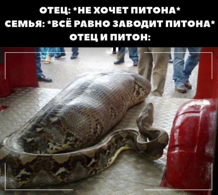 Крайне чёрный юмор: от унижения чести и достоинства до смерти Крайне чёрный юмор: от унижения чести и достоинства до смерти
