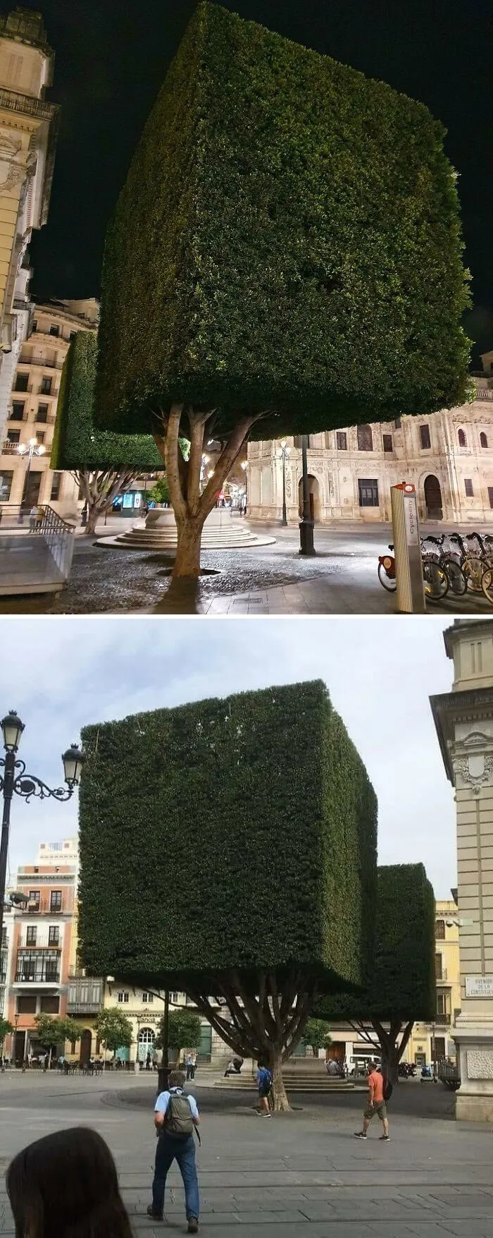 30 фото нашей реальности, которые больше похожи на кадры из видеоигр 30 фото нашей реальности, которые больше похожи на кадры из видеоигр