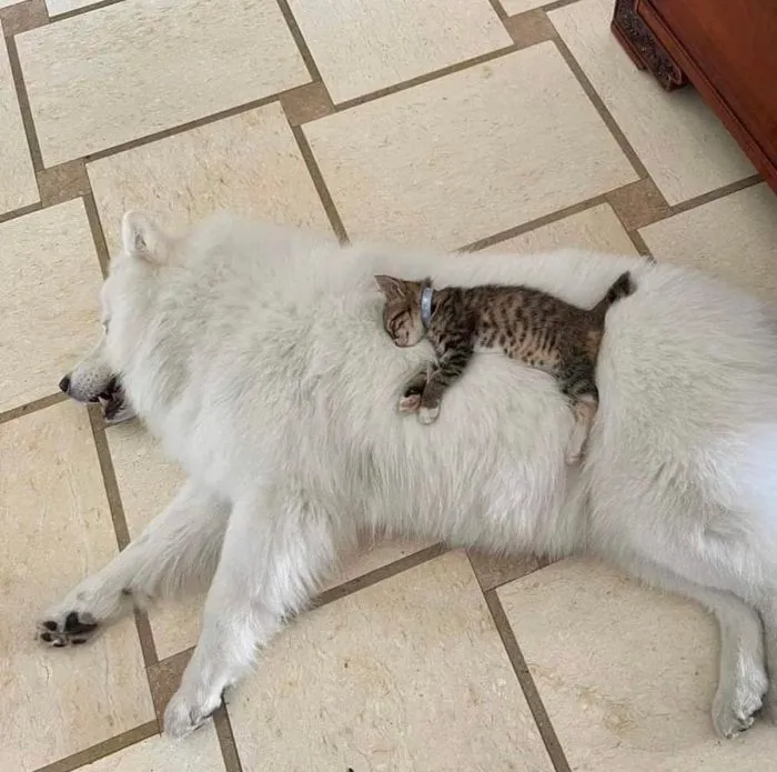 Фотоподборка Фотоподборка