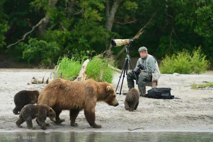 Фотоподборка Фотоподборка
