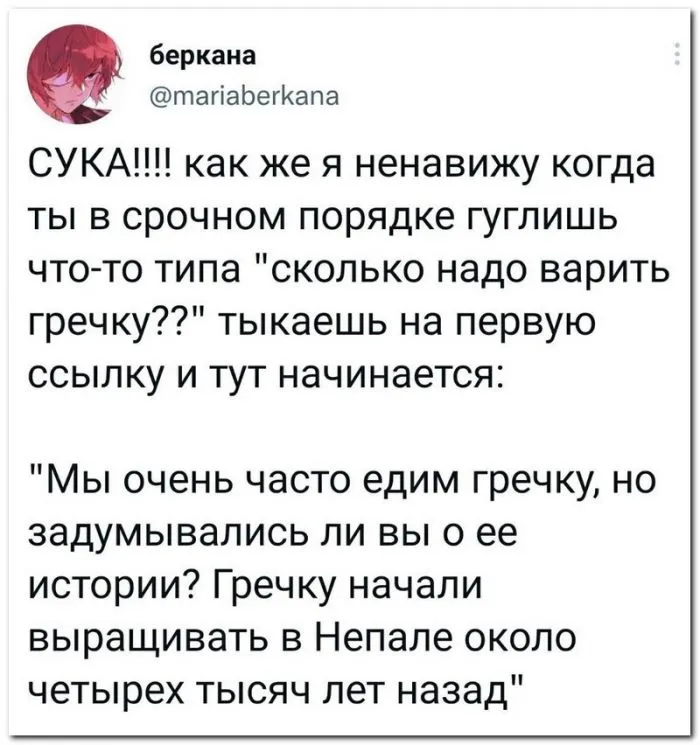 Скрины из соцсетей Скрины из соцсетей