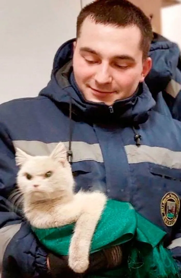 15 забавных моментов, которые сложно выкинуть из головы 15 забавных моментов, которые сложно выкинуть из головы