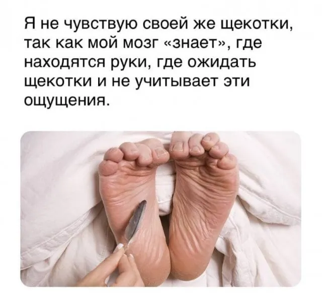 Подборка картинок из серии "И тут я задумался" Подборка картинок из серии "И тут я задумался"