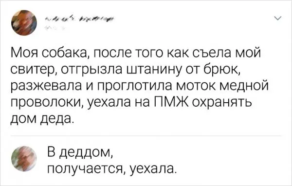 Подборка забавных комментариев Подборка забавных комментариев