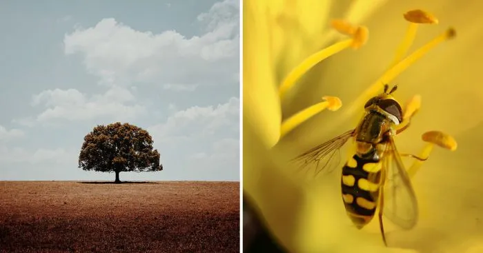 35 невероятных фото со смартфона: победители фотоконкурса Mobile Photography Awards 2022 35 невероятных фото со смартфона: победители фотоконкурса Mobile Photography Awards 2022