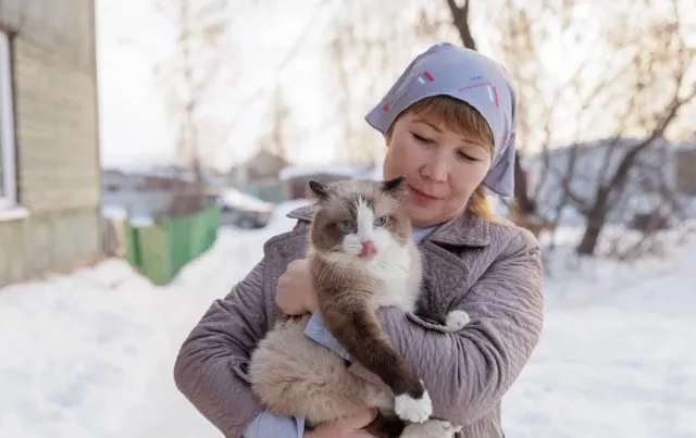 В Тюмени умер самый пожилой кот России по кличке Дашун