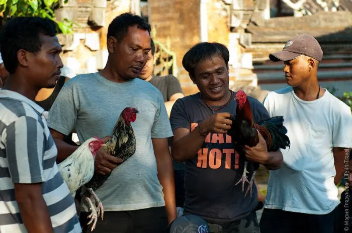 Обратная сторона Бали, о которой не говорят блогеры
