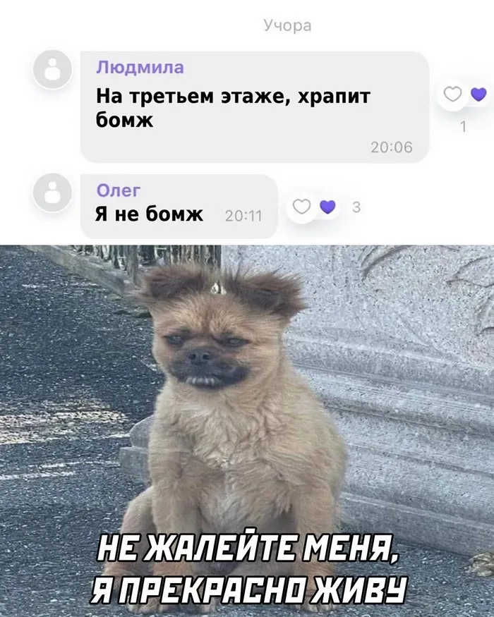 Скрины из соцсетей Скрины из соцсетей