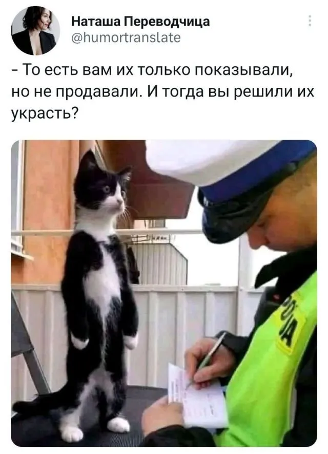 Подборка забавных твитов обо всем Подборка забавных твитов обо всем