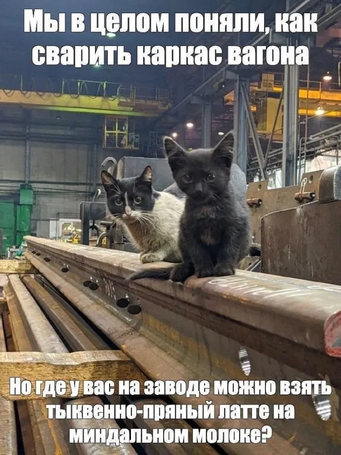 Нестандартный юмор :)