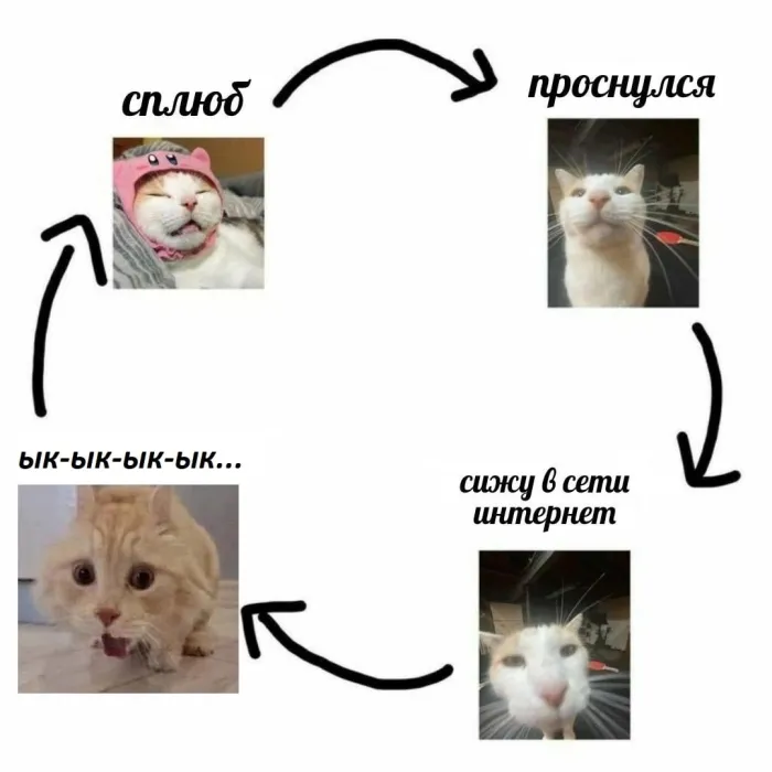 Нестандартный юмор (13/03/2023)