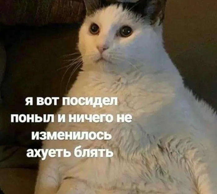 Нестандартный юмор :)