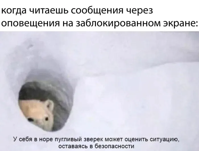 Нестандартный юмор :)