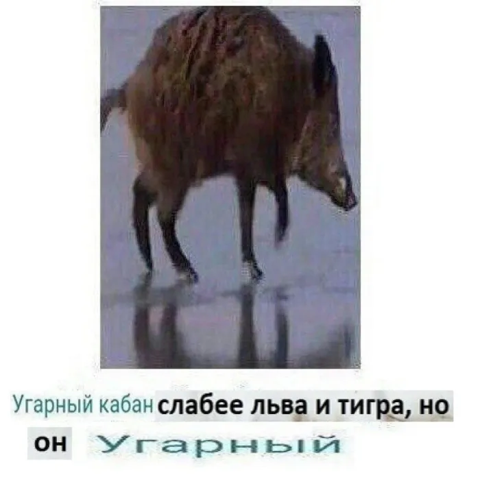 Нестандартный юмор :)