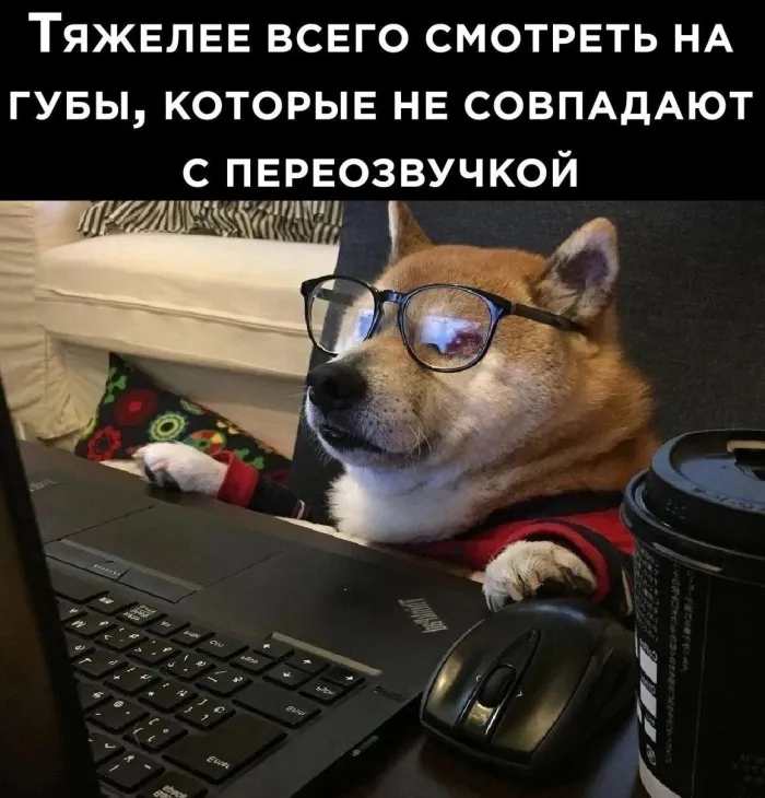 Нестандартный юмор :)