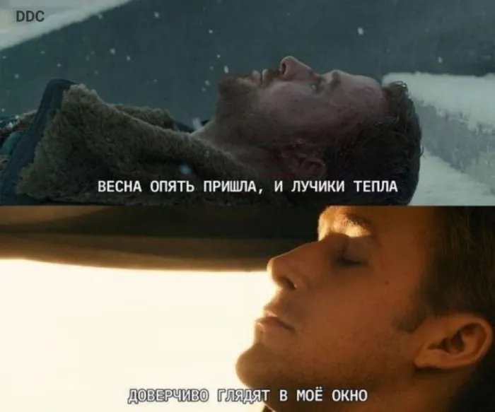 Нестандартный юмор :)