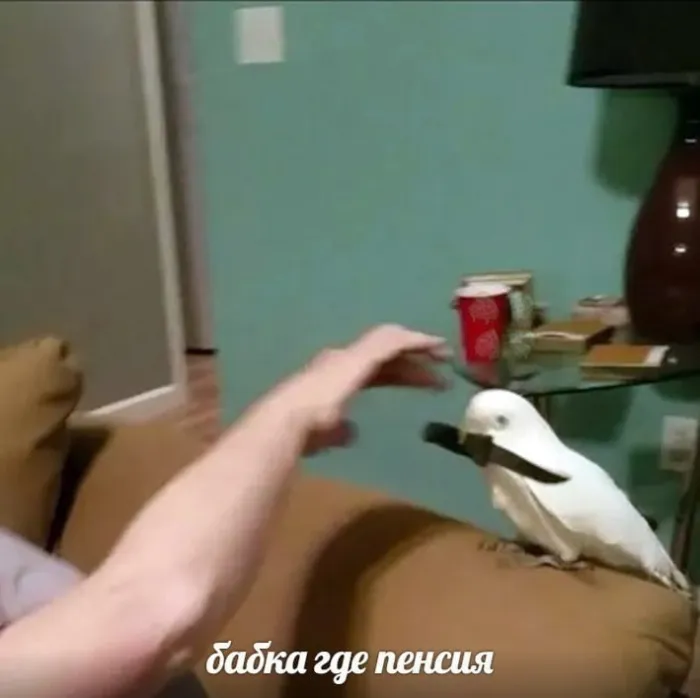 Нестандартный юмор :)