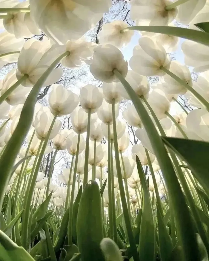 Фотоподборка
