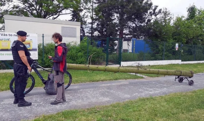 Фотоподборка