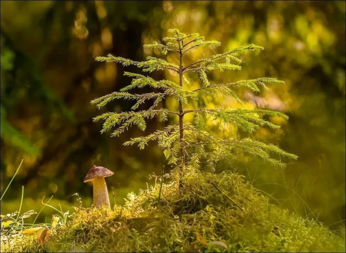 Фотоподборка