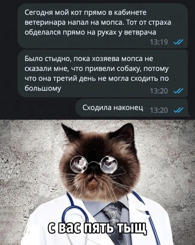 Так себе картинки Так себе картинки