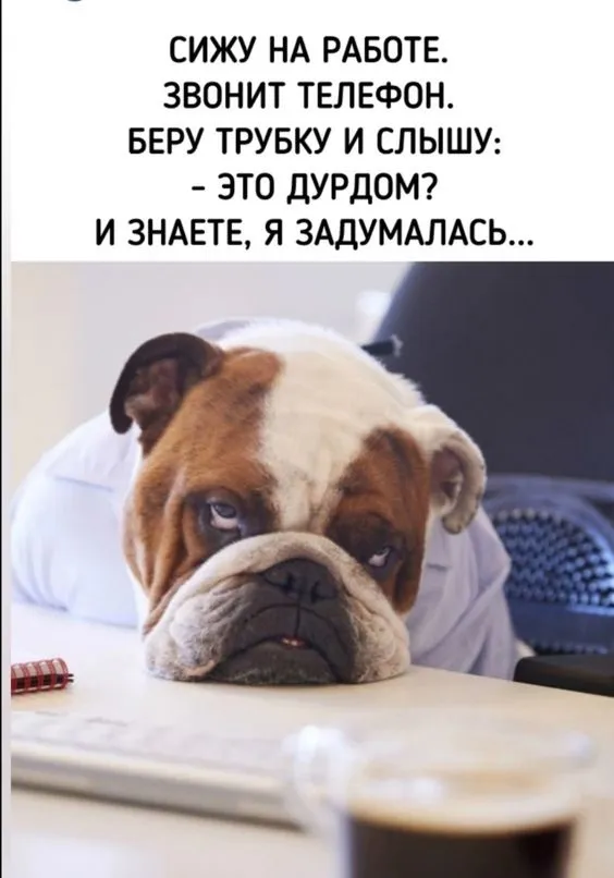 Так себе картинки Так себе картинки