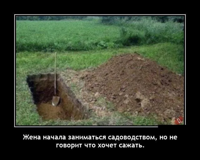 Немного демотиваторов Немного демотиваторов