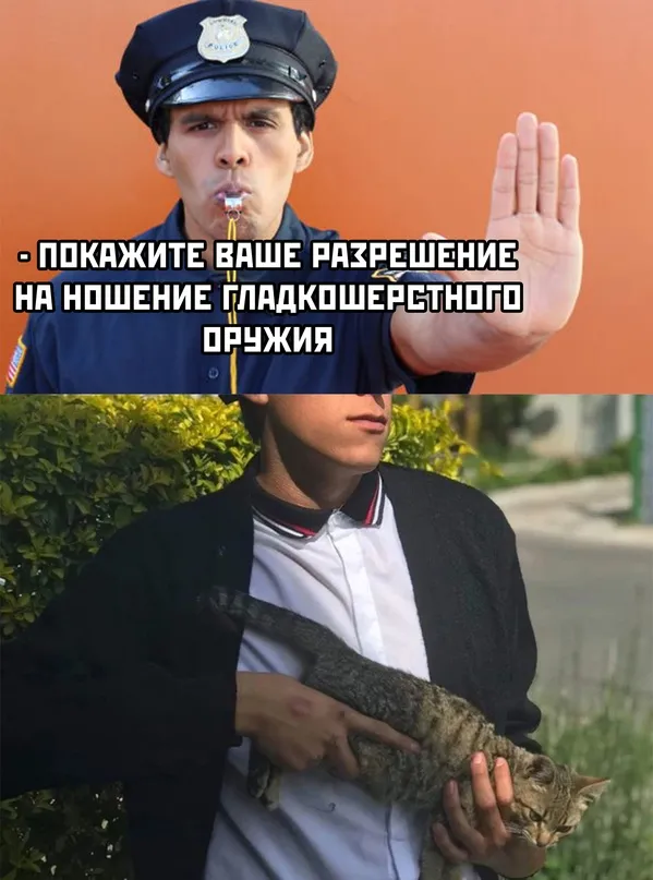 Картинки и мемы для настроения Картинки и мемы для настроения