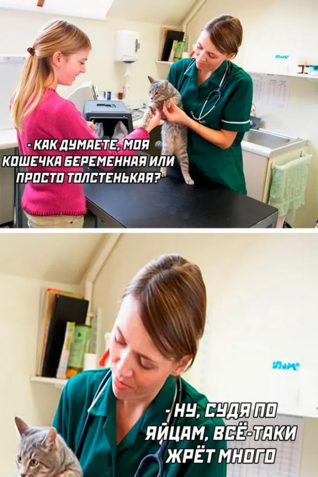 Картинки и мемы для настроения Картинки и мемы для настроения
